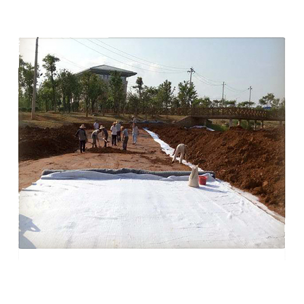 养殖高盐蓄水防渗项目使用膨润土防水毯多钱钱一平米？