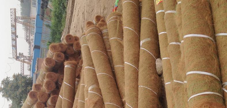 椰丝生态毯在众多护坡材料中脱颖而出
