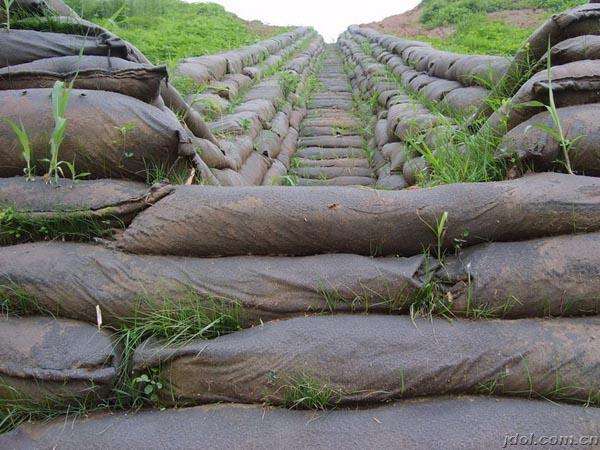 生态袋植草护坡在江安河迎水坡绿化施工中的应用
